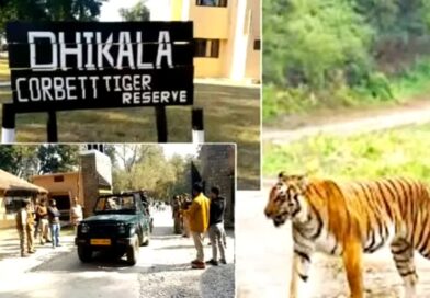 कॉर्बेट पार्क का ढिकाला जोन आज से पर्यटकों के लिए हुआ बंद, नाइट स्टे और पर्यटन गतिविधियों पर लगेगा विराम