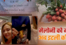 पहली बार इटली एक्सपोर्ट हुई उत्तराखंड की लीची, मेलोडी के बाद देहरादून का फल घोलेगा मिठास
