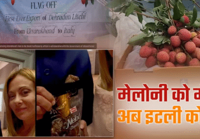 पहली बार इटली एक्सपोर्ट हुई उत्तराखंड की लीची, मेलोडी के बाद देहरादून का फल घोलेगा मिठास