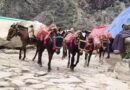 केदारनाथ में 25 टन बायो फ्यूल पेलेट्स तैयार, अब अगले चरण में बड़े स्तर पर होगा उत्पादन