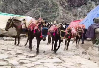 केदारनाथ में 25 टन बायो फ्यूल पेलेट्स तैयार, अब अगले चरण में बड़े स्तर पर होगा उत्पादन